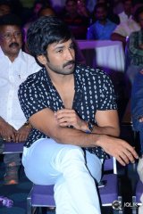 Sarrainodu Movie Success Meet